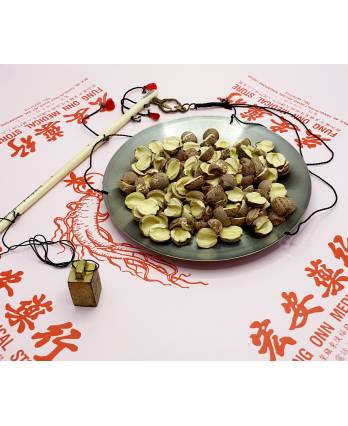 Lotus Seed (Red) 湘莲子 (红）