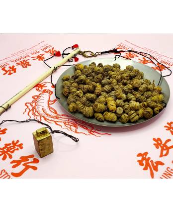 Shihu 铁皮石斛